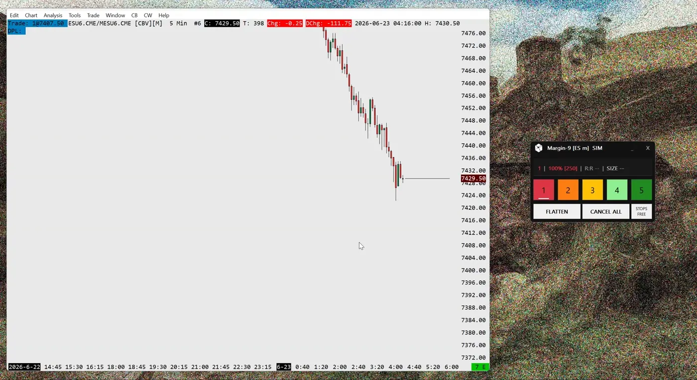 Setting a risk profile to a fixed contract count in Margin-9